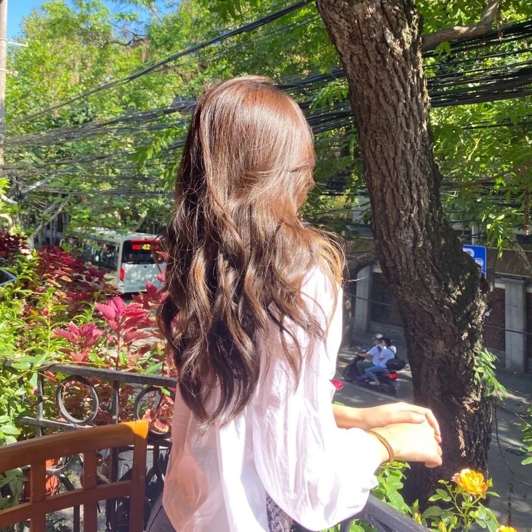 夏日之书2024